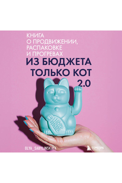 Оля Сабылинская: Из бюджета только кот 2.0