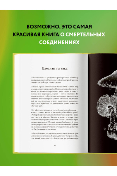 Сакина Зейналова: Яды: вокруг и внутри. Путеводитель по самым опасным веществам на планете