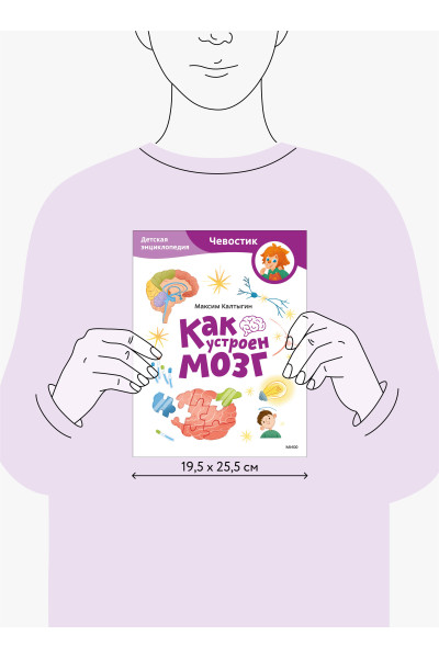 : Как устроен мозг. Детская энциклопедия (Чевостик) (Paperback)
