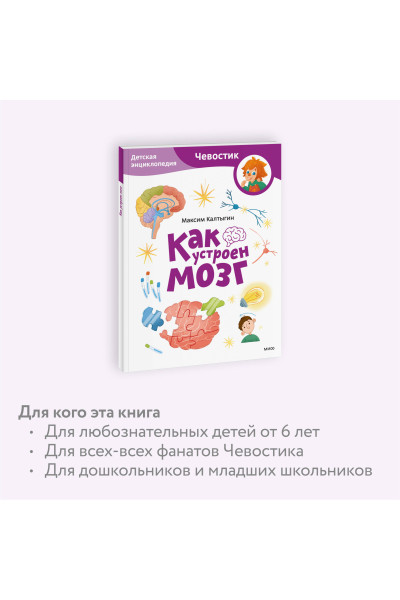 : Как устроен мозг. Детская энциклопедия (Чевостик) (Paperback)