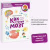 : Как устроен мозг. Детская энциклопедия (Чевостик) (Paperback)