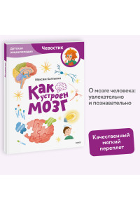 Как устроен мозг. Детская энциклопедия (Чевостик) (Paperback)