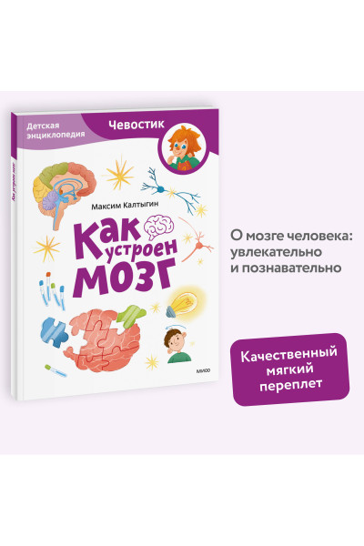 : Как устроен мозг. Детская энциклопедия (Чевостик) (Paperback)