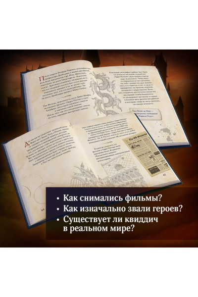 Том Гримм: Волшебный мир Гарри Поттера. 250 магических фактов, которые должен знать каждый фанат