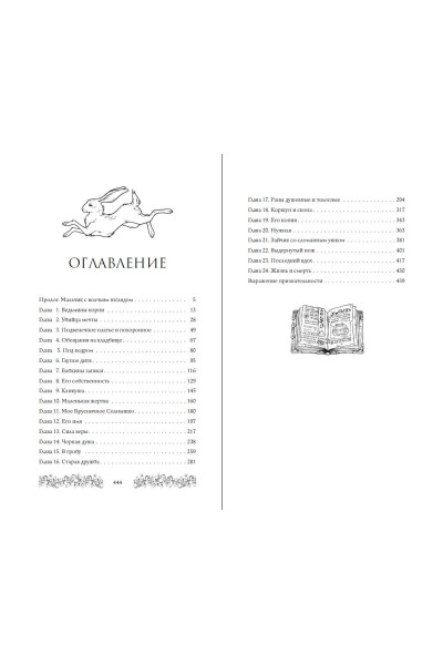 Лизавета Мягчило: Брусничное Солнце