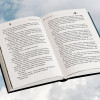Денис Окань: Офисный пилот. О невидимой стороне профессии пилота. Книга 3