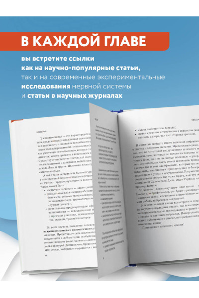 Вячеслав Дубынин: Мозг: еда и новизна. Почему нас тянет к новому и вкусному