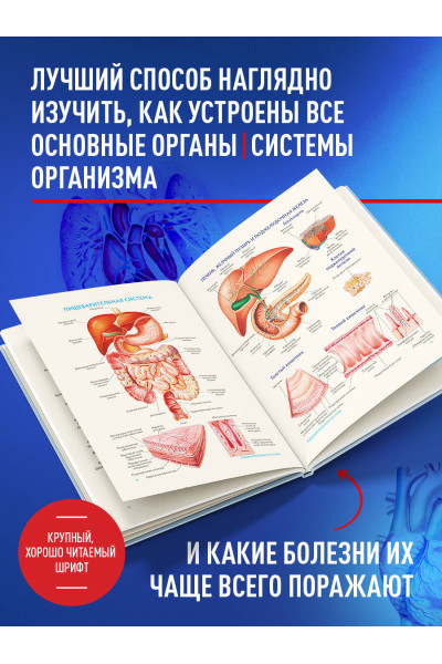 : Анатомия человека. Популярный атлас. Самые подробные анатомические изображения
