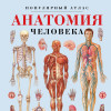 : Анатомия человека. Популярный атлас. Самые подробные анатомические изображения