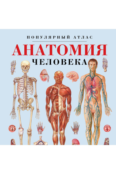 : Анатомия человека. Популярный атлас. Самые подробные анатомические изображения