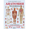 : Анатомия человека. Популярный атлас. Самые подробные анатомические изображения