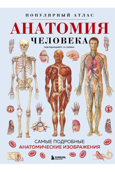 : Анатомия человека. Популярный атлас. Самые подробные анатомические изображения