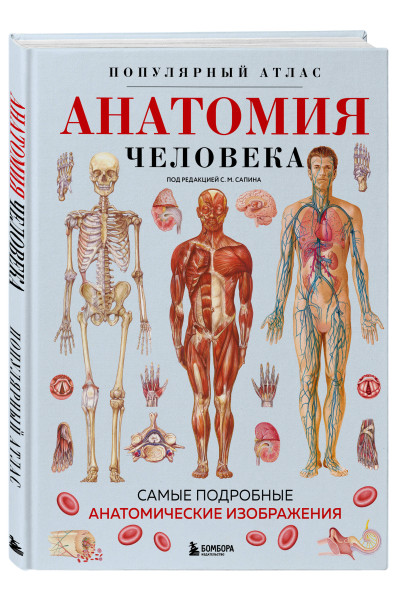 : Анатомия человека. Популярный атлас. Самые подробные анатомические изображения