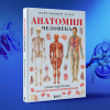 : Анатомия человека. Популярный атлас. Самые подробные анатомические изображения