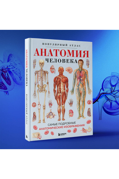 : Анатомия человека. Популярный атлас. Самые подробные анатомические изображения