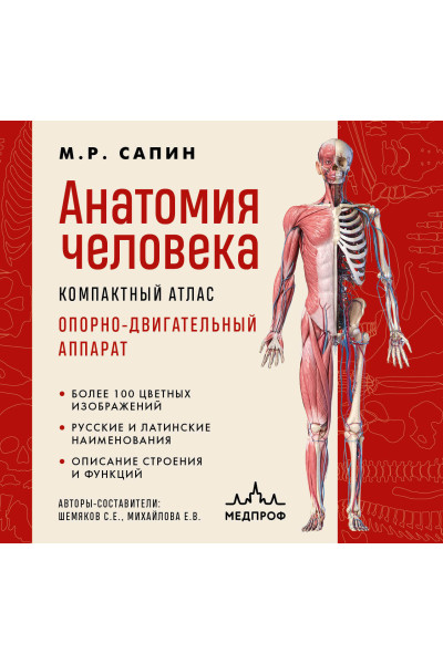 М. Р. Сапин: Анатомия человека. Компактный атлас. Опорно-двигательный аппарат