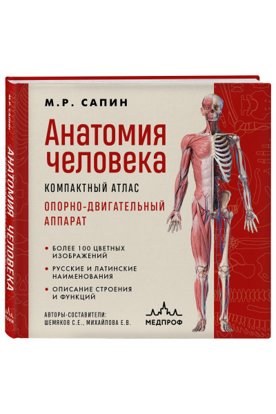 М. Р. Сапин: Анатомия человека. Компактный атлас. Опорно-двигательный аппарат