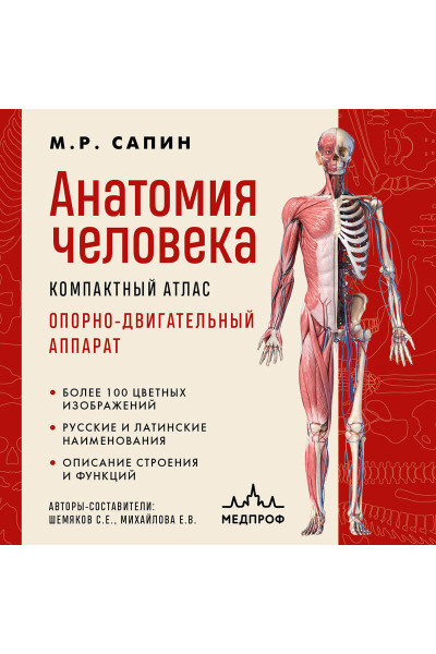 М. Р. Сапин: Анатомия человека. Компактный атлас. Опорно-двигательный аппарат