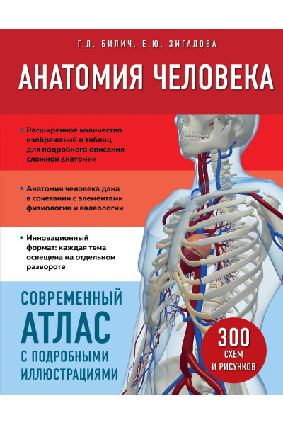 Анатомия человека. Современный атлас с подробными иллюстрациями
