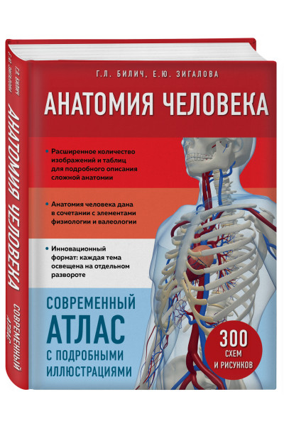 Анатомия человека. Современный атлас с подробными иллюстрациями