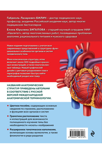 Анатомия человека. Современный атлас с подробными иллюстрациями