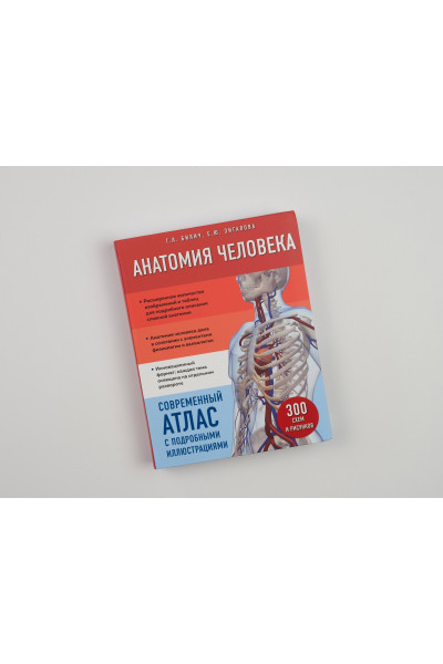 Анатомия человека. Современный атлас с подробными иллюстрациями