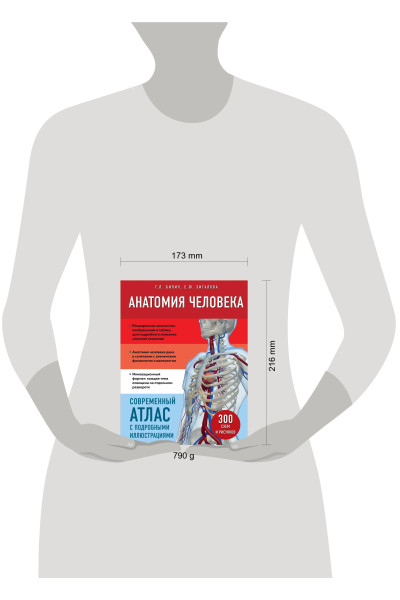 Анатомия человека. Современный атлас с подробными иллюстрациями
