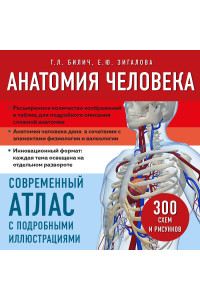 Анатомия человека. Современный атлас с подробными иллюстрациями