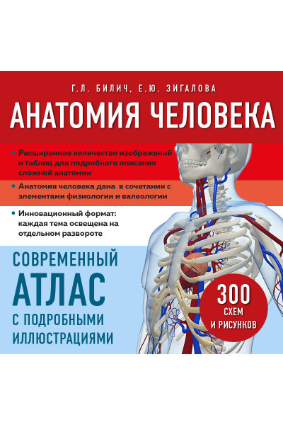 Анатомия человека. Современный атлас с подробными иллюстрациями