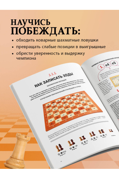 Мануэле Фьор: Большая книга шахмат: от классики до современных тенденций. Правила, тактические приемы и лучшие стратегии