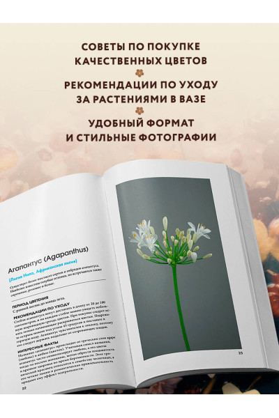 Калверт Крари, Брюс Литтлфилд: Цветы для букета. Справочник срезанных цветов для начинающего флориста. Что и когда покупать и как продлить цветам жизнь