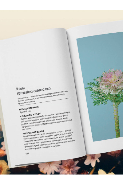 Калверт Крари, Брюс Литтлфилд: Цветы для букета. Справочник срезанных цветов для начинающего флориста. Что и когда покупать и как продлить цветам жизнь