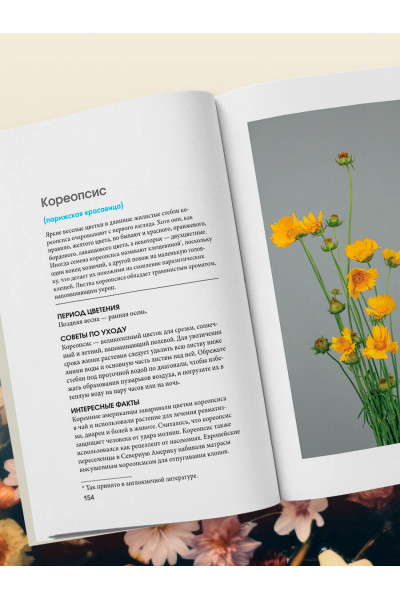 Калверт Крари, Брюс Литтлфилд: Цветы для букета. Справочник срезанных цветов для начинающего флориста. Что и когда покупать и как продлить цветам жизнь