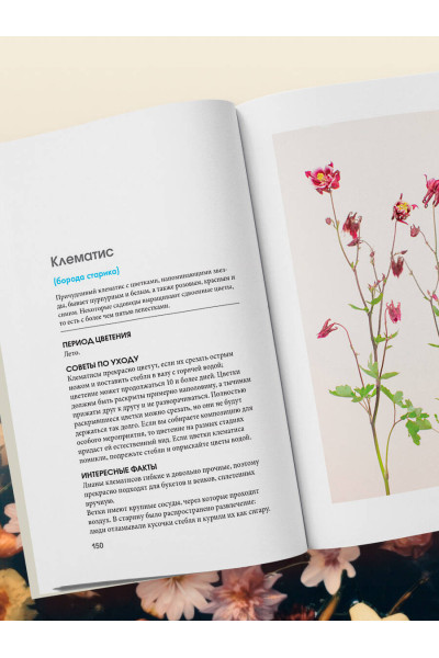 Калверт Крари, Брюс Литтлфилд: Цветы для букета. Справочник срезанных цветов для начинающего флориста. Что и когда покупать и как продлить цветам жизнь