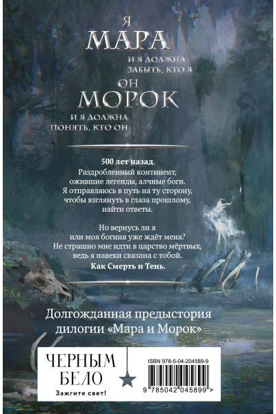 Лия Арден: Мара и Морок. 500 лет назад (формат клатчбук)