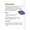: Первая любовь. Вечные истории. Young Adult