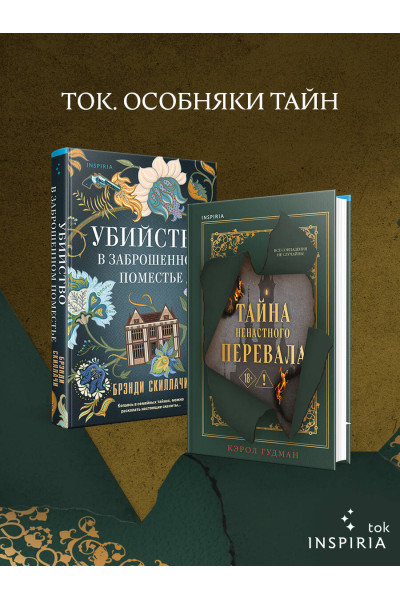 Кэрол Гудман: Тайна Ненастного Перевала