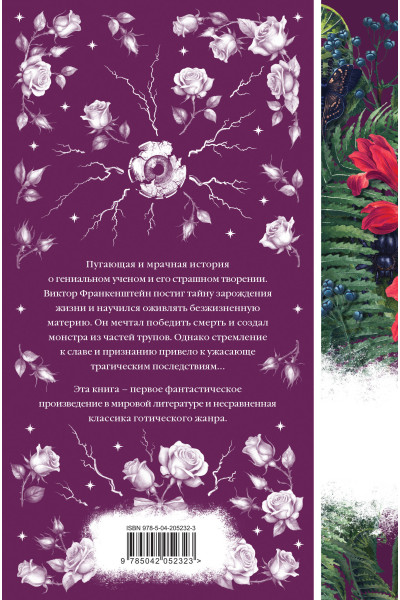 Мэри Шелли: Франкенштейн