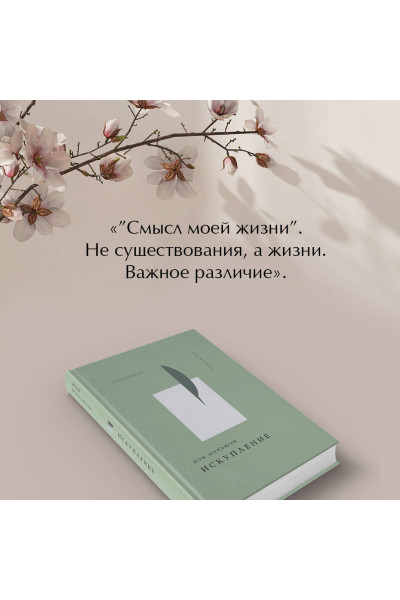 Иэн Макьюэн: Искупление