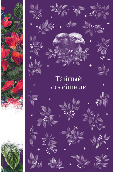 : Тайный сообщник