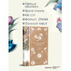 Стефан Цвейг: Нетерпение сердца