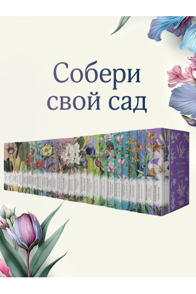 Стефан Цвейг: Нетерпение сердца