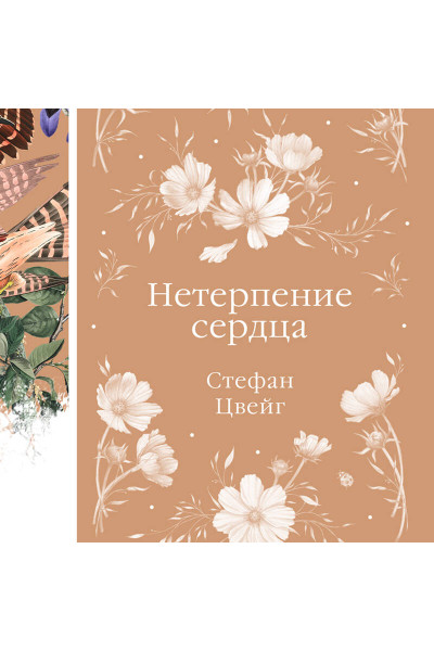 Стефан Цвейг: Нетерпение сердца