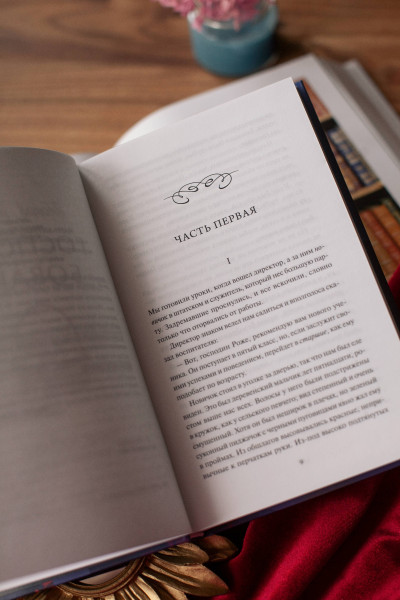 : Госпожа Бовари. Вечные истории. Young Adult