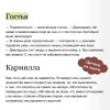 : Кармилла (с иллюстрациями Антонио Лоренте)