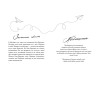 Эмма Скотт: Среди тысячи слов (подарочное оформление)
