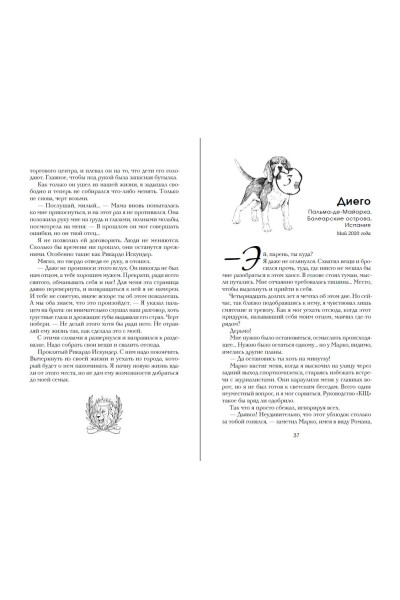 Эмилия Вон: Семнадцатый