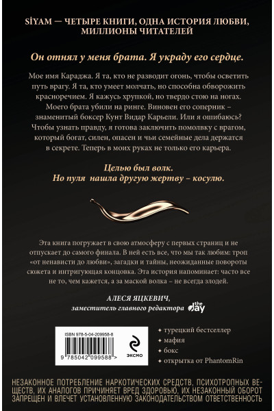 Бейза Аксой: Зимнее солнце