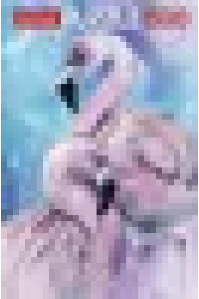 Пазл Hatber Фламинго 1500 элементов 480х670 мм