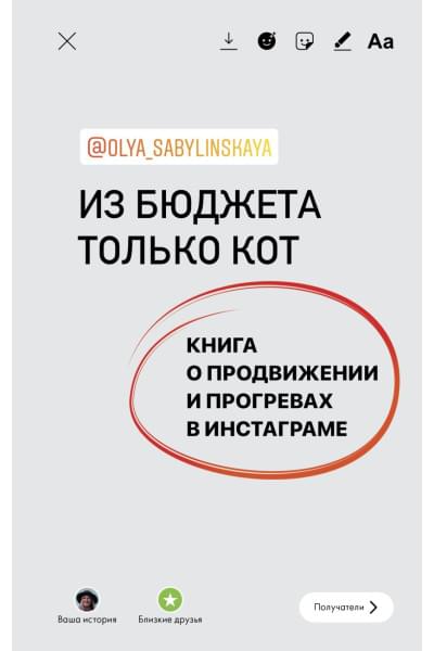 Сабылинская Оля: Из бюджета только кот. Книга о продвижении и прогревах в инстаграме